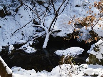 下雪了，好冷OR好美！