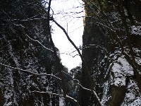 下雪了，好冷OR好美！