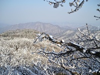 下雪了，好冷OR好美！