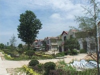 美丽乡村——吴店镇东湾村