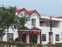 美丽乡村——吴店镇东湾村