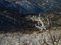 下雪了，好冷OR好美！
