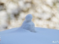 下雪了，好冷OR好美！