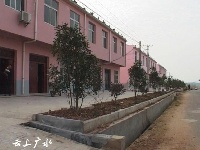 美丽乡村——吴店镇东湾村