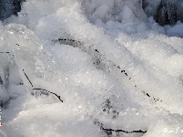 下雪了，好冷OR好美！