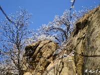 下雪了，好冷OR好美！