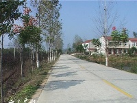 美丽乡村——吴店镇东湾村