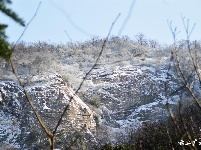 下雪了，好冷OR好美！