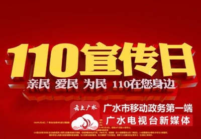 市公安局隆重组织开展 2017年“110宣传日”集中宣传活动