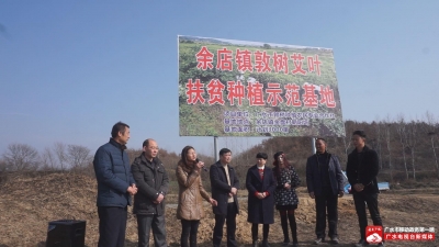 余店镇敦树艾叶基地扶贫种植示范基地启动 