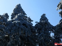 瑞雪兆丰年,三潭金顶现美景