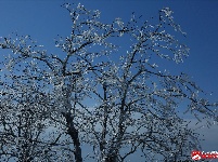 瑞雪兆丰年,三潭金顶现美景