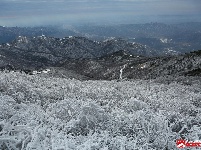 瑞雪兆丰年,三潭金顶现美景