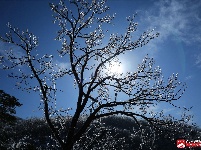 瑞雪兆丰年,三潭金顶现美景