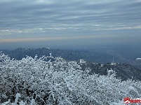 瑞雪兆丰年,三潭金顶现美景