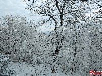 瑞雪兆丰年,三潭金顶现美景