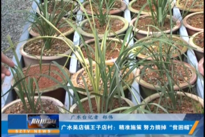 广水吴店镇王子店村：精准施策 努力摘掉“贫困帽”