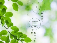 今日立夏 | 盘里的西瓜，午后的蝉鸣，夏天来了
