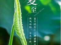 今日立夏 | 盘里的西瓜，午后的蝉鸣，夏天来了