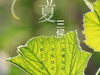 今日立夏 | 盘里的西瓜，午后的蝉鸣，夏天来了