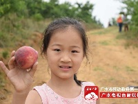 【休闲】寿山生态园让你体验亲手采摘果实的快乐