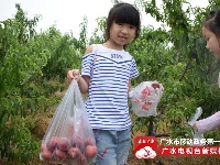 【休闲】寿山生态园让你体验亲手采摘果实的快乐