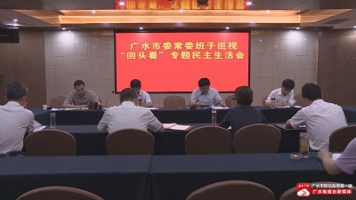 市委常委班子召开巡视“回头看”专题民主生活会