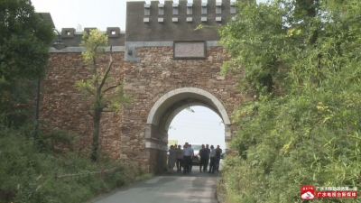 武胜关桃源村入选“中国乡村旅游创客示范基地”