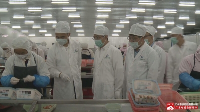 郑军调研城郊经济社会发展和扶贫攻坚工作