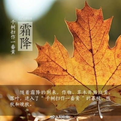 今日霜降！关于它，你知道的还太少！