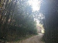 一组美图 带你领略秋天的静美 冬天的内敛