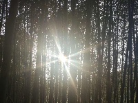 一组美图 带你领略秋天的静美 冬天的内敛