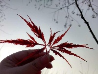 一组美图 带你领略秋天的静美 冬天的内敛