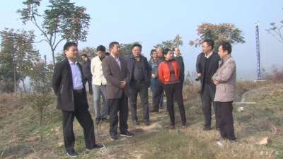 刘泽富调研我市林业资源管理工作