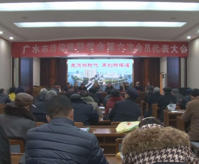 市诗词楹联学会召开第六次会员代表会议
