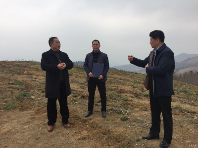 市长田涛到驻点村调研精准扶贫工作