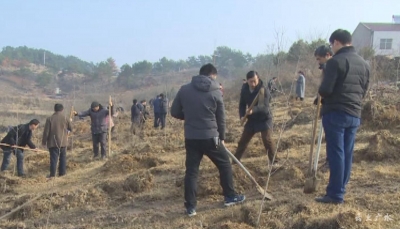 关庙：又是植树时 栽绿遍荒山