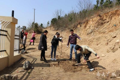 广水市妇联组织开展“共植友谊林·共筑绿色梦”联谊活动