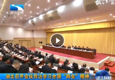 V视丨湖北省召开会议传达学习全国“两会”精神