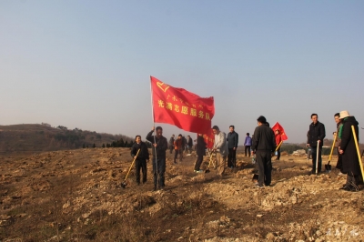 市教育局积极参加义务植树活动