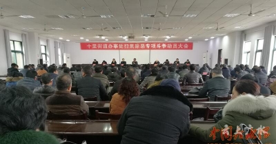 十里办召开扫黑除恶专项斗争动员大会