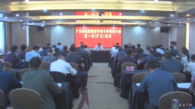 全市扫黑除恶领导小组第一次（扩大）会议召开