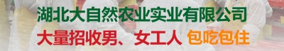 大自然农业开产招聘啦