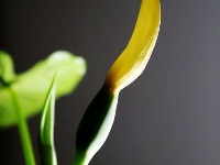 仅一背影，亦能倾国倾城