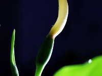 仅一背影，亦能倾国倾城