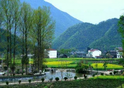 重磅！湖北3年内重点扶持这批村庄 每个村获得10万元奖补资金 最高奖500万！广水有一个村上榜！