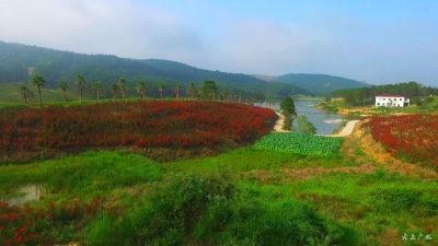 我市扎实推进精准灭荒工程成效明显