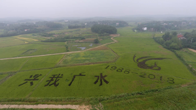 广水市梅庙村打造“村美业兴民富”新画卷