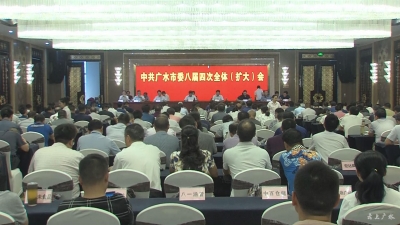 市委八届四次全体（扩大）会议：  以建市30周年为新起点 奋力推进广水高质量发展