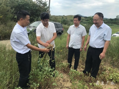 田涛深入田间地头调研指导抗旱工作